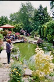 imm017_16.jpg