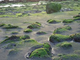 befestigter Srand in Westkapelle.JPG